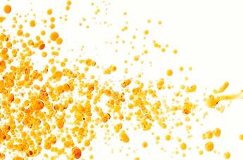 _FRE7225_DESKTOP cropped(1)